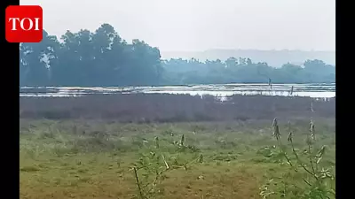 Goa Farmers Face Saline Water Crisis Again, Threatening Kharif Season Crops