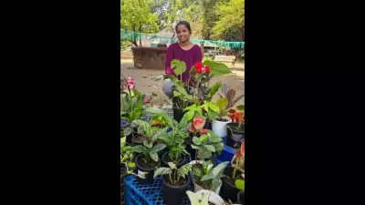 Goa's Summer Plant Boom: Drought-Resistant Ornamentals See Surging Demand