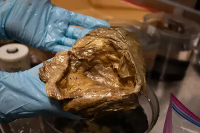 Golden Orb Found in Deep Ocean Baffles Scientists, DNA Reveals It's an Eggshell