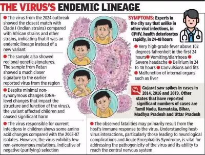 Gujarat 2024 Chandipura Virus Genome Decoded with 293 Mutations