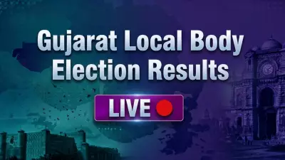 Gujarat Local Body Election Results 2026: BJP Leads in Early Trends