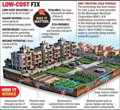 Gujarat Scientists Develop Nature-Based Sewage Treatment System Without Electricity