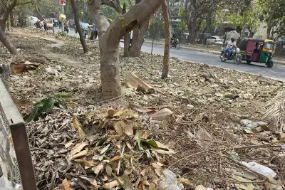 Gurgaon Greenbelt Turns into Dumping Site, Residents Blame GMDA Inaction