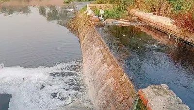 Gurugram Waste Chokes Yamuna Before Delhi, Pollution Control Board Data Reveals