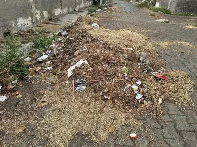 Haryana Farmers Protest Crop Loss Compensation, Oppose New Mandi Restrictions