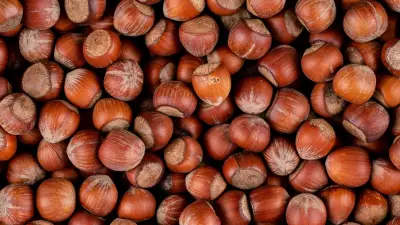Hazelnuts: A Nutritional Powerhouse for Heart, Brain, and Energy