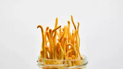 Himalayan Gold Mushroom: The Rs 1 Lakh/kg Superfood That Fights Fatigue