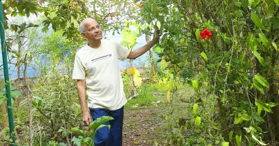 Hornbills Discover a Mini Jungle: A Personal Conservation Story