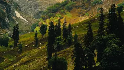 How a Spontaneous Trip to Dharamsala with No Plans Became My Best Holiday