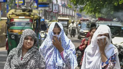 IMD Issues Heatwave Advisories as Temperatures Soar Across India
