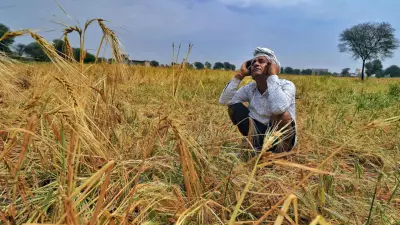 IMD Predicts Below Normal Monsoon, Raising Concerns for India's Farm Sector