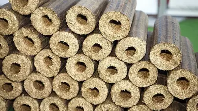 India Bans Wood Briquette Exports to Secure Domestic Fuel Supply