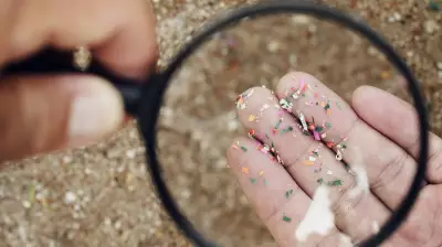 India Lacks Standards to Test Microplastics: CPCB