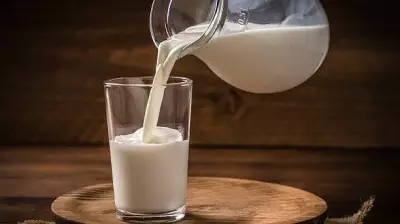India's Milk Supply Remains Stable, Prices Unaffected by West Asia Conflict