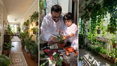 Indoor Gardening Revolution: From Pandemic Hobby to Urban Lifestyle Essential