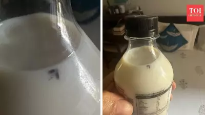 Insect Found in Packaged Milk Sparks Social Media Debate on Food Safety