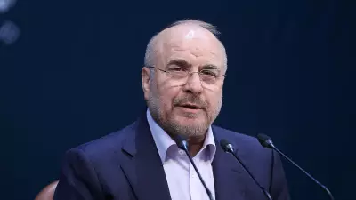 Iranian Negotiator Says US Failed to Build Trust in Nuclear Talks