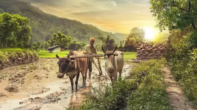 Karnataka Launches Website for Agricultural and Allied Laws