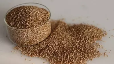 Karnataka Mandates Healthier Food Options at Government Events