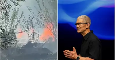 Kerala Fireworks Blast Kills 8, Apple CEO Tim Cook Resigns After 15 Years