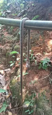 Kerala Sees 29 Snakebite Calls in Single Day as Summer Heat Drives Snakes Out