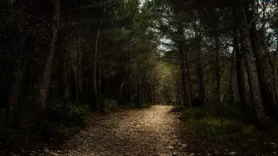 Kerala Woman Goes Missing During Group Trek in Madikeri, Karnataka