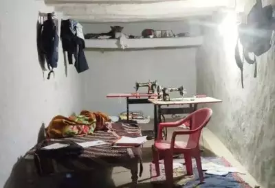 Leopard Perches Like Toy in Chhattisgarh Home, Sparks Village Panic and Rescue