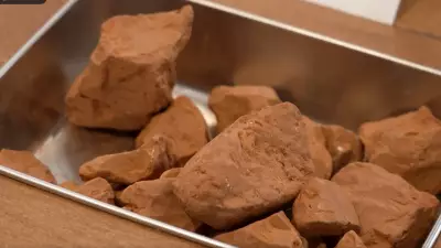 London's Museum of Edible Earth Invites Visitors to Taste Soil in Unique Exhibition