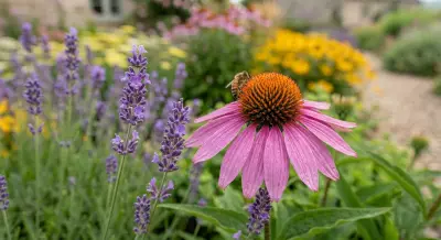 Low-Maintenance Flowers for a Beautiful Garden Without the Hard Work