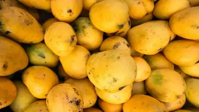 Mango Storage Guide: When to Refrigerate vs. Keep Outside for Perfect Ripeness