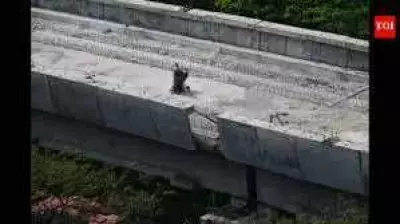 MMRDA Retains Metro Line 4 Consultant After Probe Clears Systemic Flaws