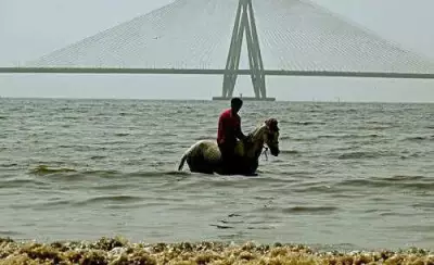 Mumbai Eastern Suburbs Swelter as Humidity Spikes, Sea Breeze Missed