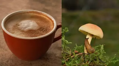 Mushroom Coffee for Weight Loss: Benefits and How It Works