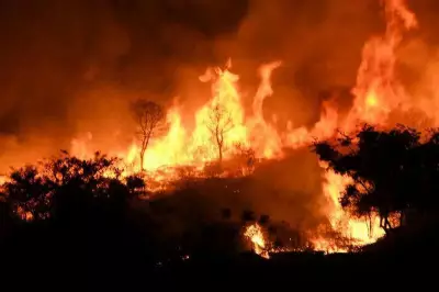 Mysuru Forest Department Intensifies Wildfire Prevention Amid Rising Summer Temperatures