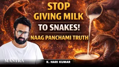 Nag Panchami Ritual: Are We Harming Snakes by Offering Milk?