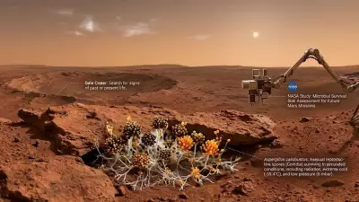 NASA Study: Fungal Spores Survive Mars-Like Conditions, Raising Planetary Protection Concerns