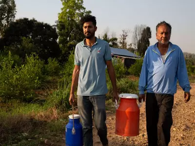 Nepal's Diaspora Returns Home to Invest in Agriculture and Dairy After Policy Change