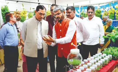 New Trichy Gene Bank Aims to Save India's Disappearing Banana Varieties