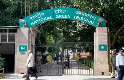 NGT Directs Authorities to Act on Illegal Tree Cutting in Delhi's Dwarka Project