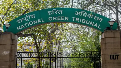 NGT Forms Committee to Check Groundwater Overexploitation