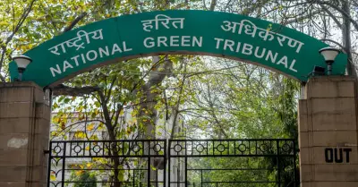 NGT Forms Panel to Check Illegal Groundwater Extraction Across States