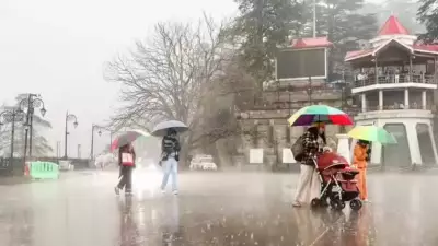 Orange Alert for Hailstorms and Thunderstorms in Himachal on Tuesday and Wednesday