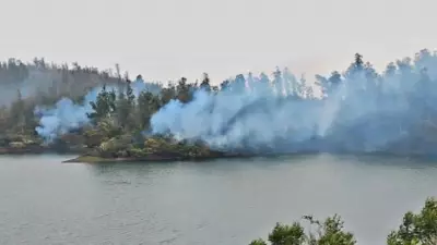 Over 500 Personnel Battle 10-Day Wildfire in Nilgiris, 5,000 Acres Scorched