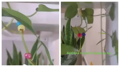 Plant Beading: The New Viral DIY Trend for Friendship and Home Decor