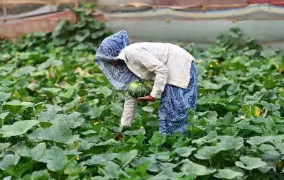 Prayagraj's Agricultural Exports Thrive Despite West Asia Tensions