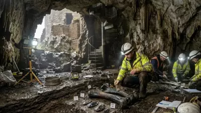 Prehistoric Cave Beneath Welsh Castle Reveals Mammoth Fossil Trove