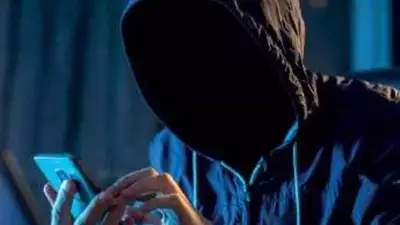 Pune Doctor Loses Rs 12.31 Crore in 39 Days to Online Share-Trading Scam