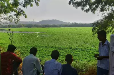 Pune's Pashan Lake Gets Sewage Diversion Plan After Mass Fish Kill