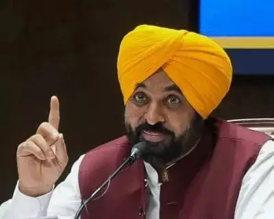 Punjab CM Bhagwant Mann Announces Basmati Centre of Excellence in Netherlands Partnership