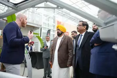 Punjab CM Bhagwant Mann Invites NXP Semiconductors to Establish R&D Hub in Mohali